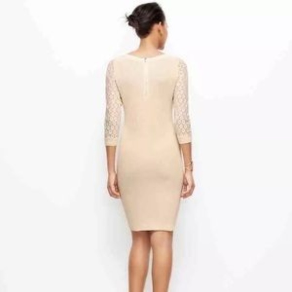 Ann Taylor Lace-Sleeved Sweater Dress - Picture 2 of 8